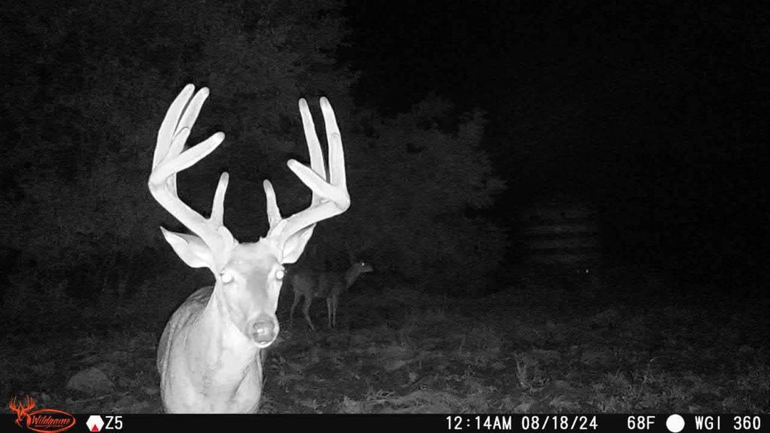 Wildgame Innovations Orbit 360 Degree Cellular Trail Camera