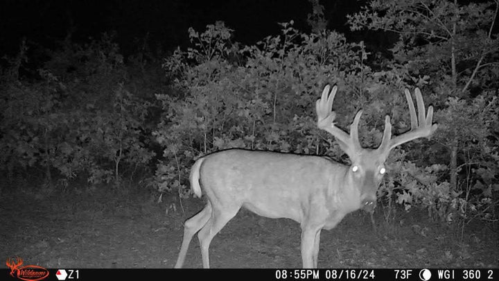 Wildgame Innovations Orbit 360 Degree Cellular Trail Camera