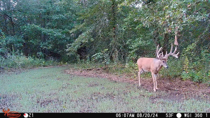 Wildgame Innovations Orbit 360 Degree Cellular Trail Camera