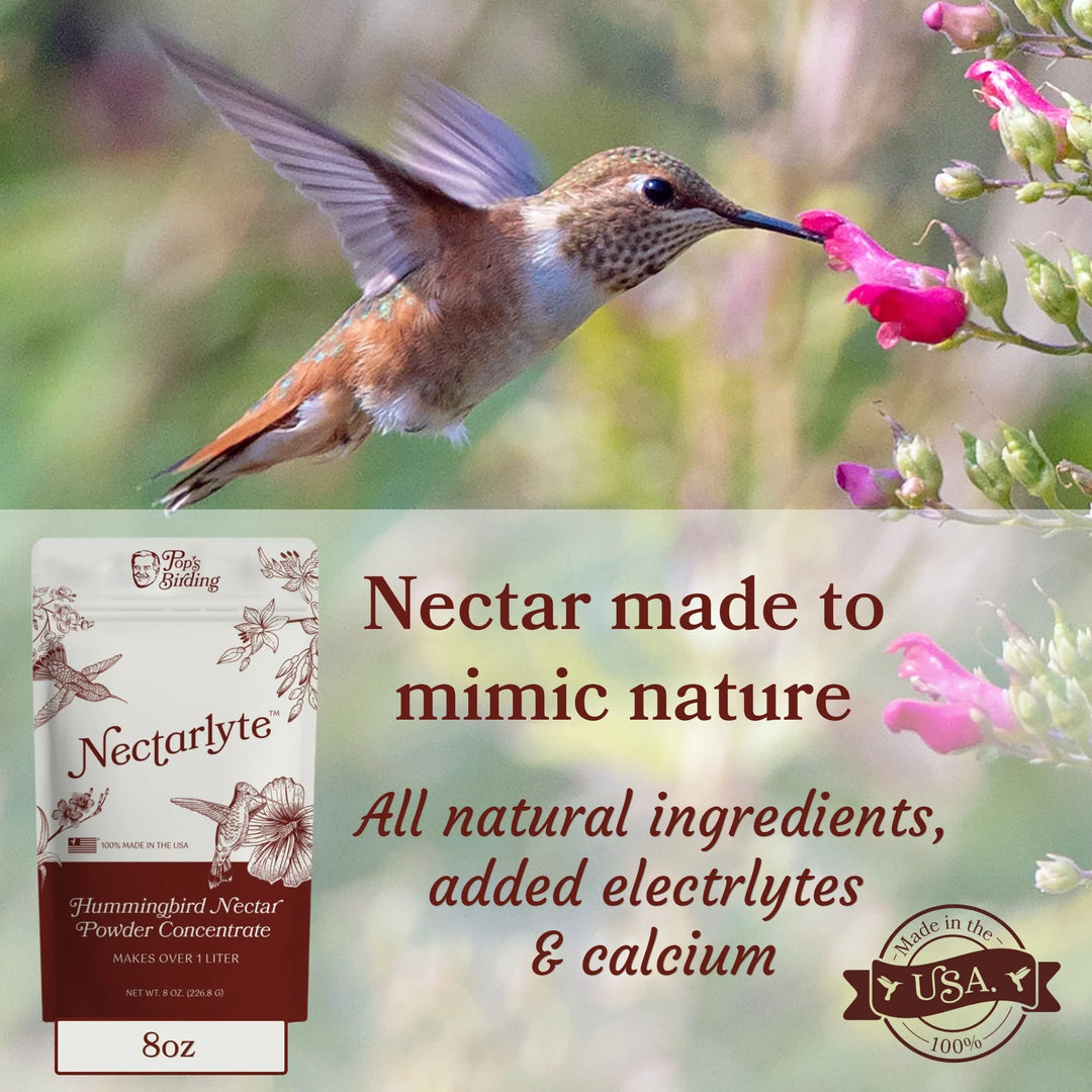 Pop's Birding  Nectarlyte® Nectar, Powder Conc. 8oz