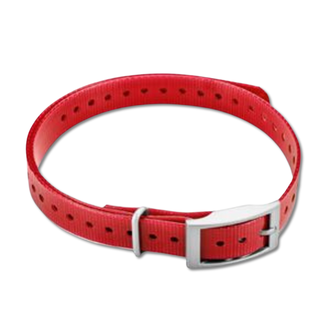 Garmin 3/4-inch collar strap red