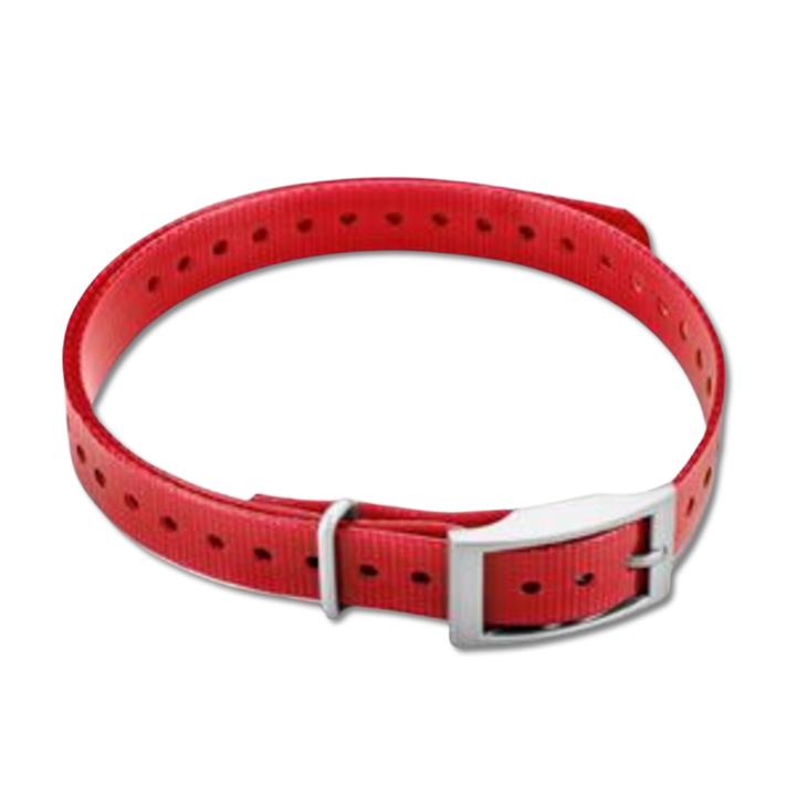 Garmin 3/4-inch collar strap red