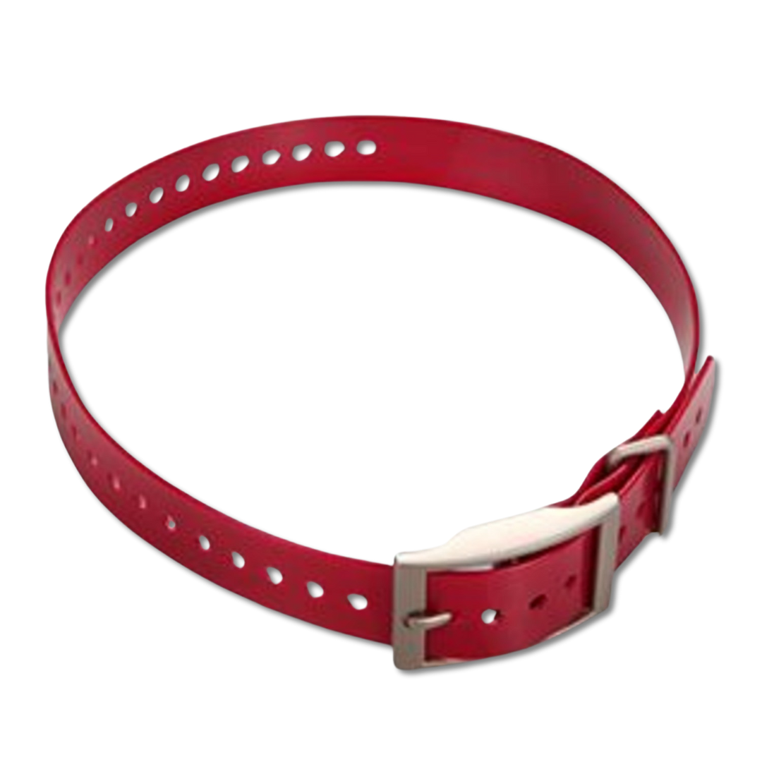 Garmin 1-inch collar strap dark red