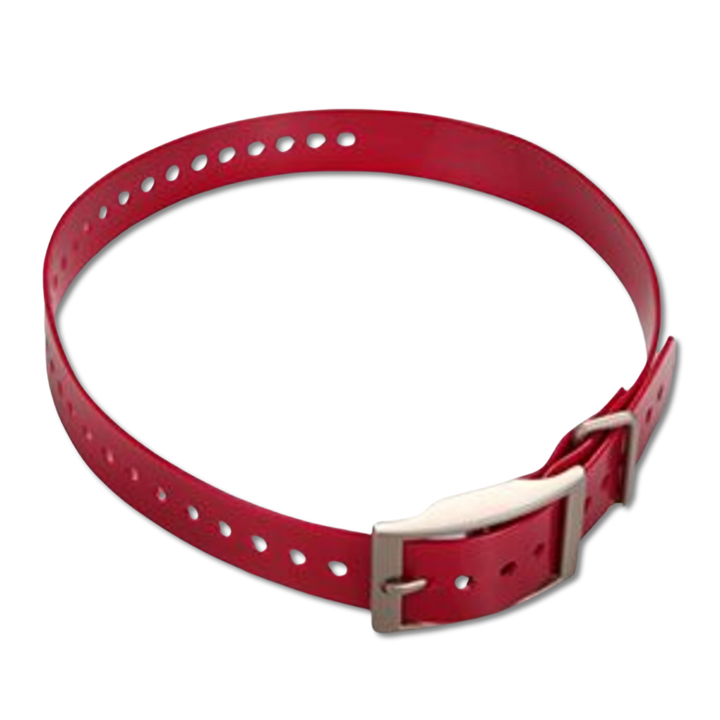 Garmin 1-inch collar strap dark red