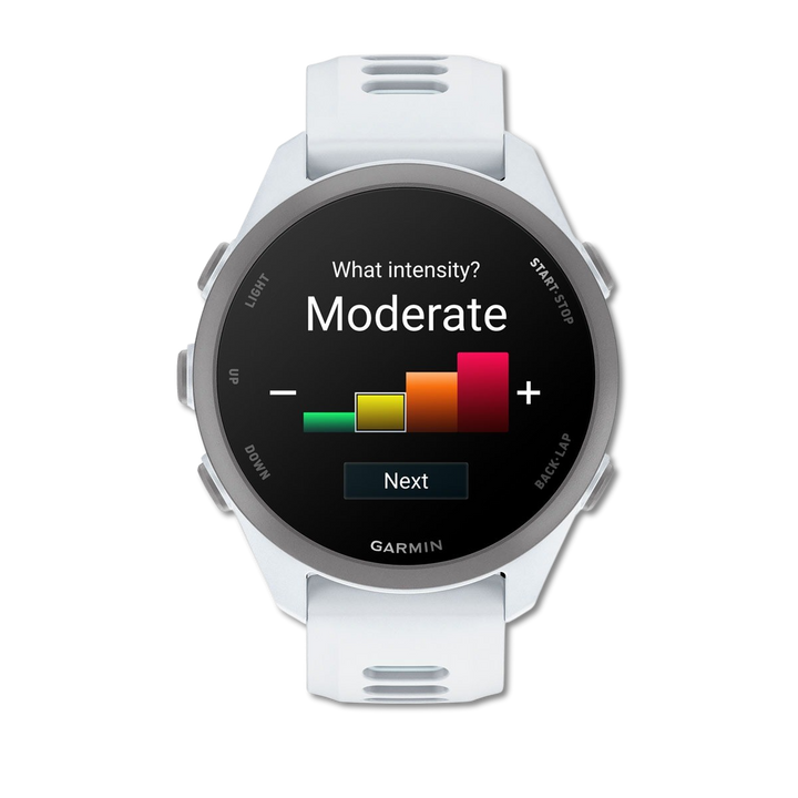 Garmin Forerunner 170 Music Whitestone/Cloud Blue detail 1
