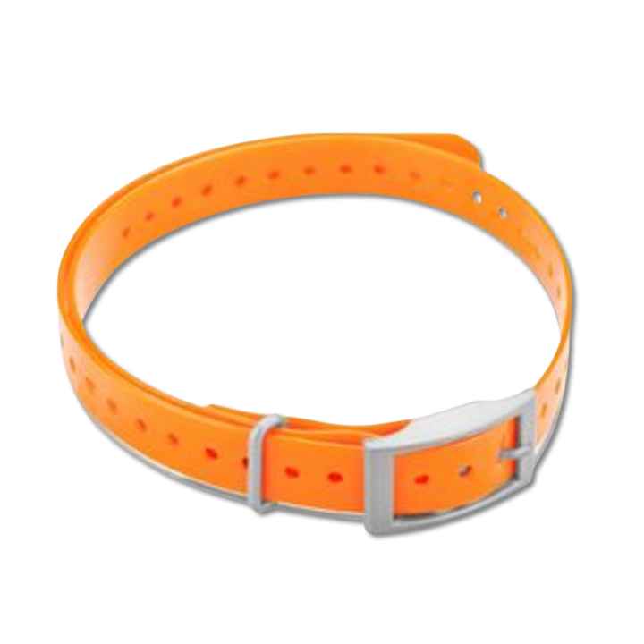 Garmin 3/4-inch collar strap orange