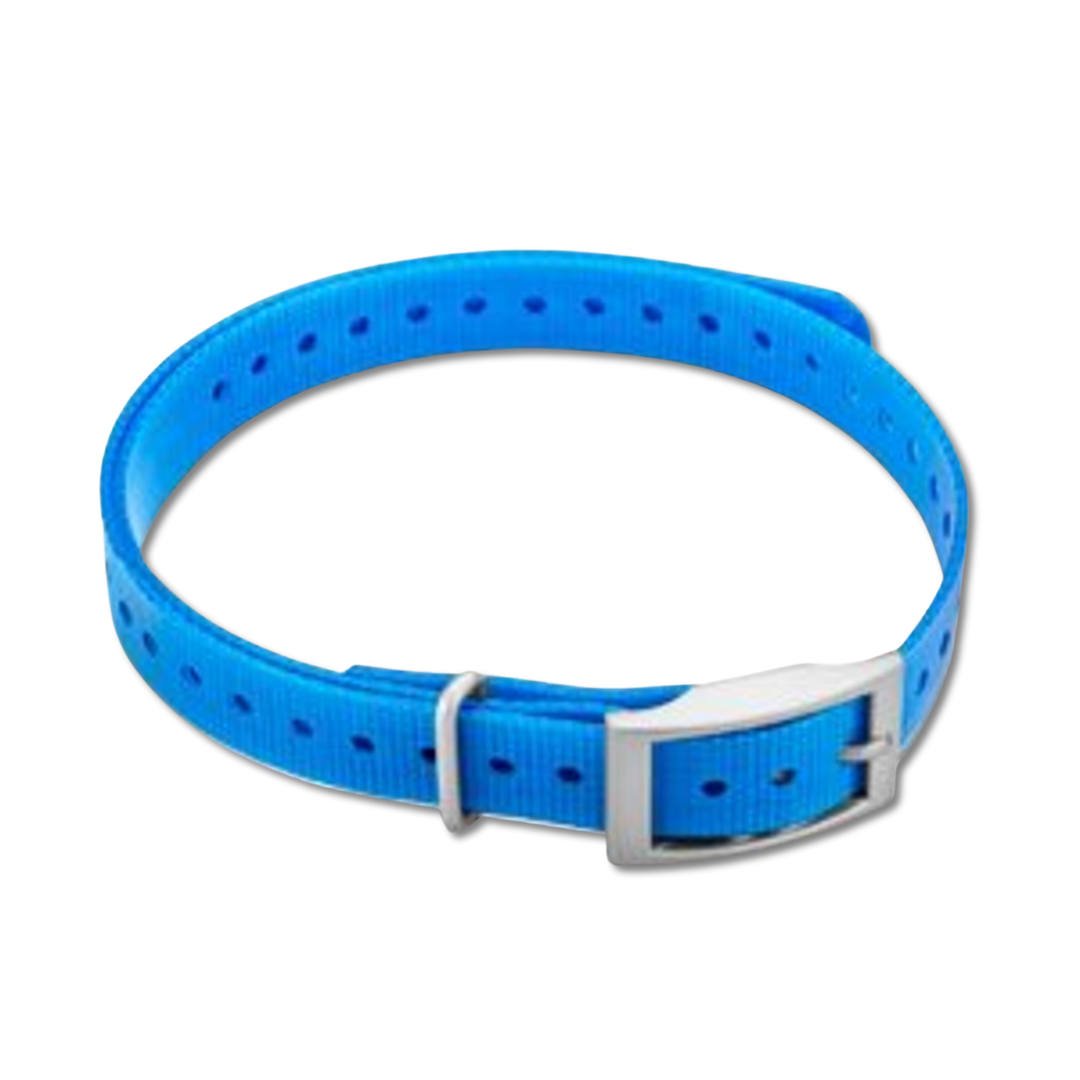 Garmin 3/4-inch collar strap blue