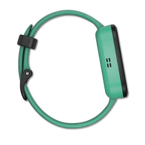 #Color_Green Burst Garmin Bounce two-way messaging