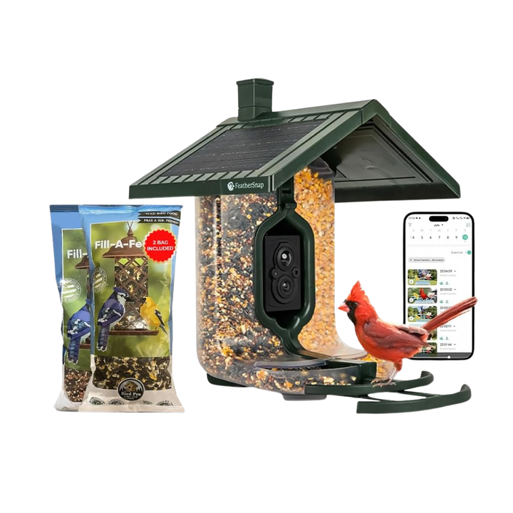 Smart Birdfeeder with AI Identification and Wi-Fi - Solar Powered (Bird Feeder & Starter Kit)