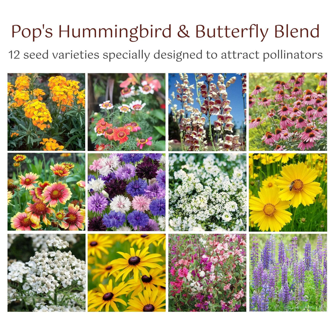 wildflower seed pops Pop's Birding Wildflower Seed, Hummingbird & Butterfly 400mg – Freedom USA Sales