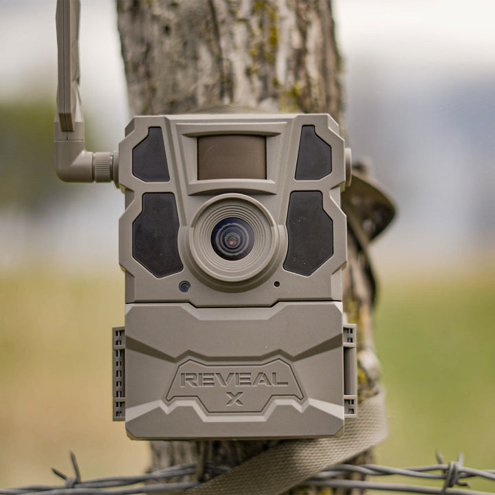 Buy 4 & Save! TACTACAM REVEAL X GEN 2.0 with Steel Security Cases and SD Cards