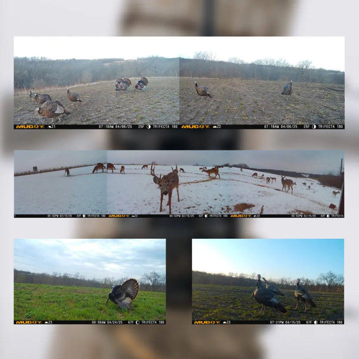 Muddy Trifecta 180