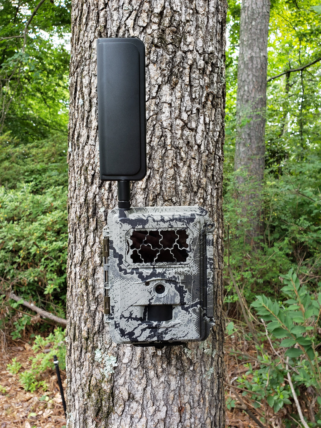 Spartan GoCam 4G/LTE Cellular Trail Camera - Freedom USA Sales